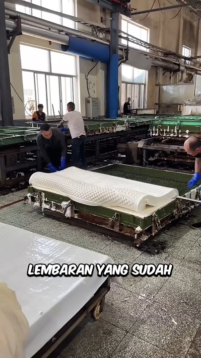 This Rubber Tree Sap Is Turned Into Latex Foam Mattresses