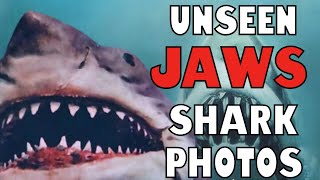 RARE AND UNSEEN  PHOTOS OF THE SHARK FROM JAWS
