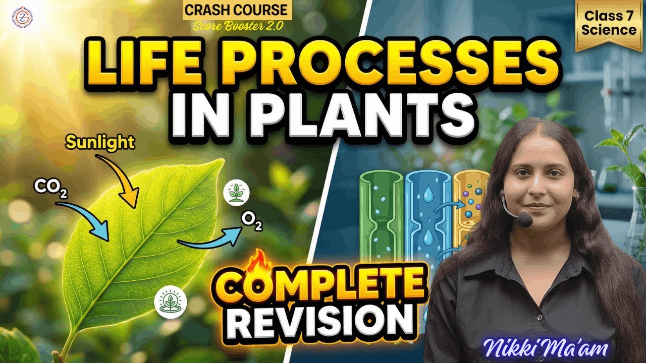Class 7 Life Processes In Plants One shot | Science New NCERT | Crash Course day 20 | By Nikki Mam
