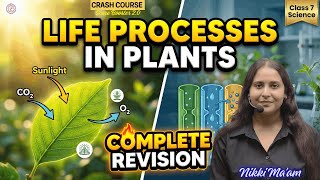Class 7 Life Processes In Plants One shot | Science New NCERT | Crash Course day 20 | By Nikki Mam