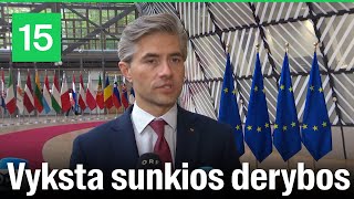Kęstutis Budrys: derantis dėl muitų, ES turėtų vengti eskalacijos santykiuose su JAV