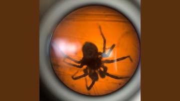 Lined up - 6:12:24, 10.27 PM