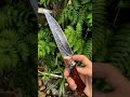Damascus Steel Hunting Knife With Serpentine Wood Hilt #shorts