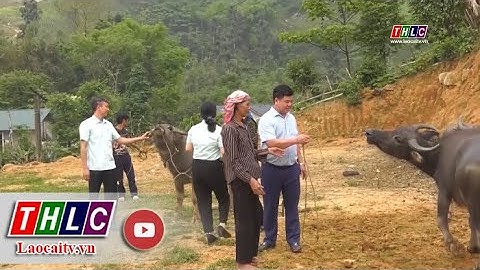 Lào Cai: Tỷ lệ giảm nghèo bình quân đạt 4,36% | THLC