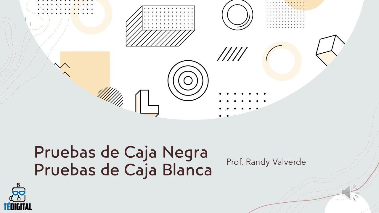 Pruebas De Caja Negra Y Caja Blanca