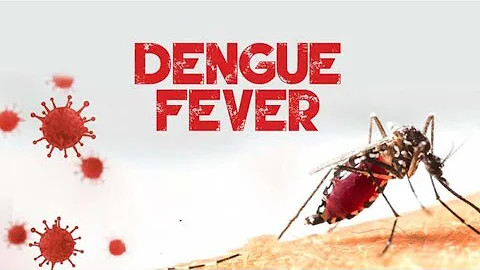 了解  Dengue Fever 登革热 一种由蚊子传播的病毒感染 (3 分钟微学习) ENG Subtitle - 天天要闻