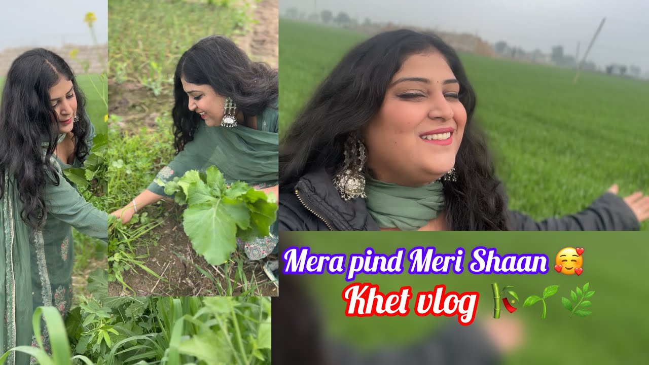 Pind di gedi 😍full  vlog |Khet di Geri |Village |full vlog | pind madhosinghana 🌿🏡