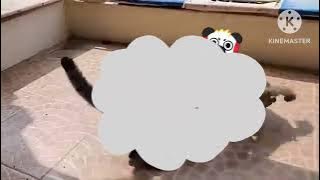 Cat fight cloud add round 1￼￼