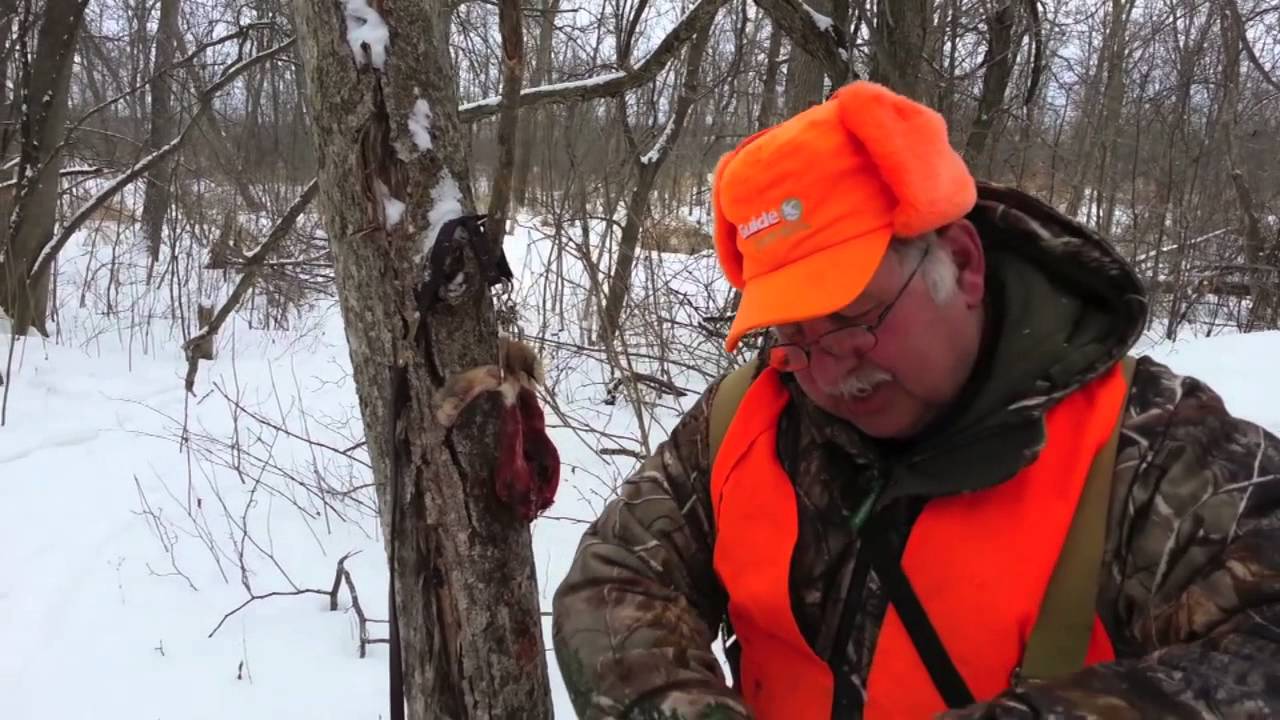DNR Learn to Hunt-How to field dress a rabbit - YouTube