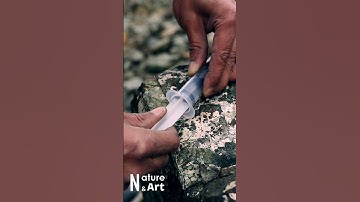 Fire Syringe #bushcraft #camping #survival #outdoors