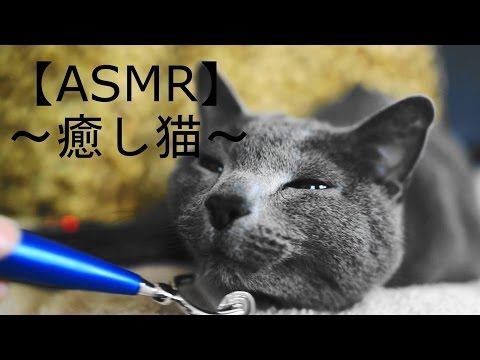 【ASMR】〜癒し猫?〜音フェチ★リラックス動画★