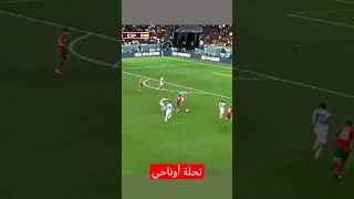 مهارة النحلة عزالدين أوناحي