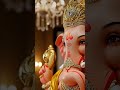 Ganesh Chaturthi Status #ganesh #ganeshchaturthi #motivation #ganesha #jaiganesh #power #success