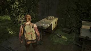 The Last of Us Part ll - Hostile Territory: Jasmine Bakery: Safe Code 689689 Close Quarters (2020) Profile