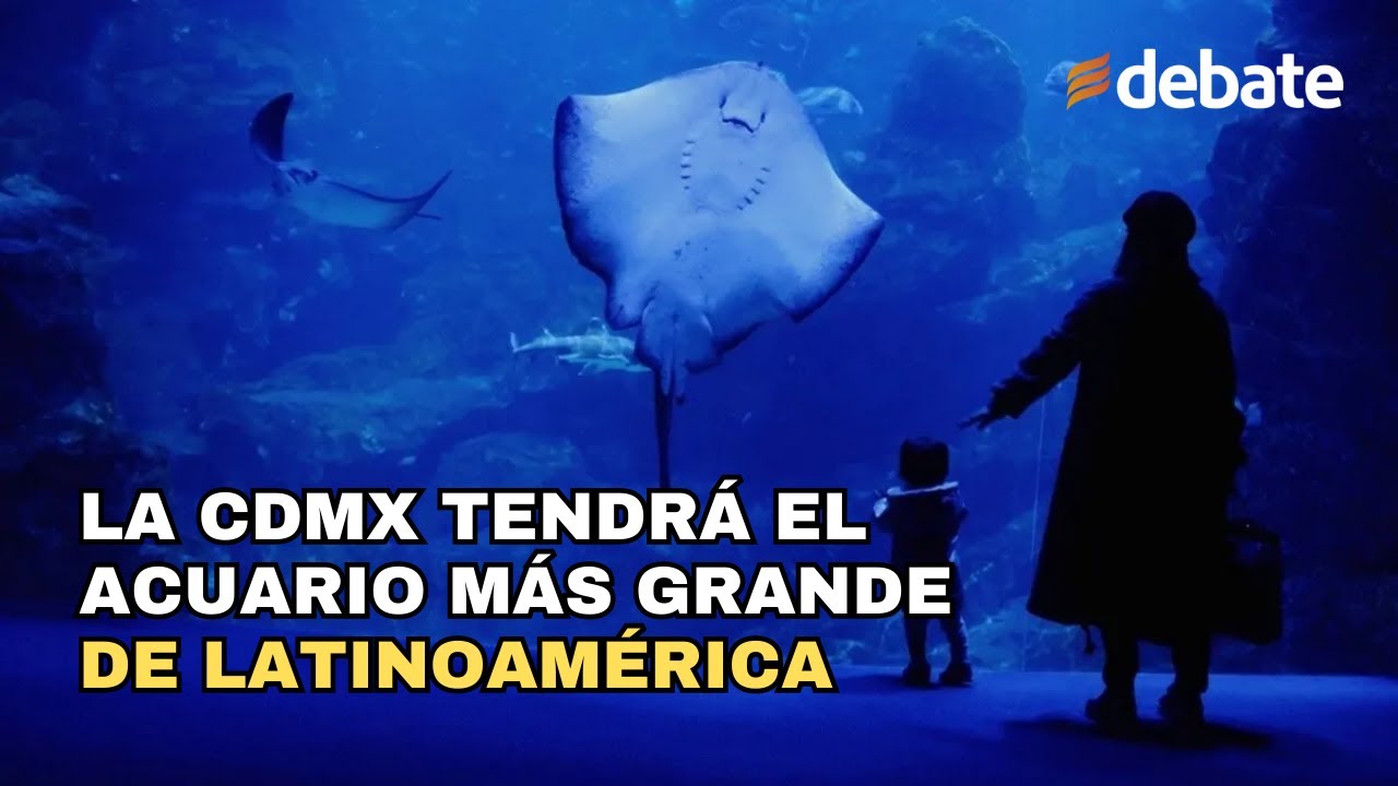 La CDMX tendrá el acuario más grande de Latinoamérica - YouTube