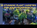 Elevate your porch 95 stunning plant varieties for your front porch pots