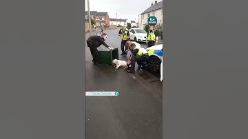 Police share bodycam footage after clip of them putting a dog in a bin was shared #coventry #dog #uk