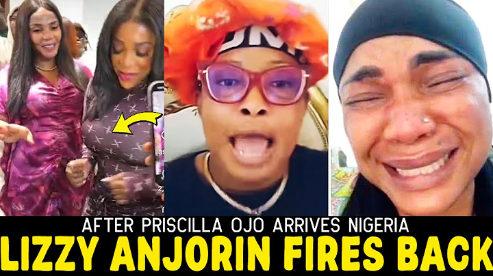 Some Hours After Iyabo Ojo Welcomes Her Grandson to Nigeria, Her Hater, Lizzy Anjorin Finally Reacts