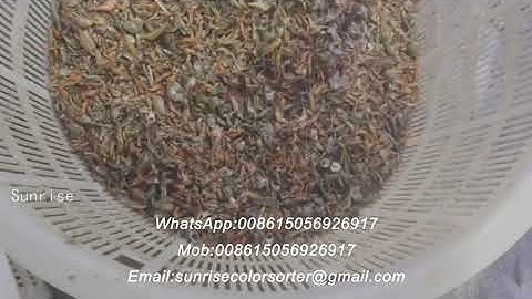 fish and shrimp color sorter#seafood #fish #shrimp #colorsorter #colorsorting #colorsortingmachine