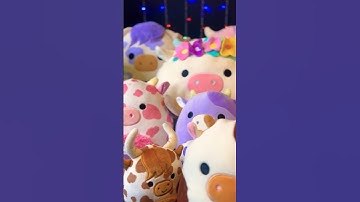 I want my own CUTE COWS 🐄 SQUISHMALLOW planet! #squishmallows #shorts