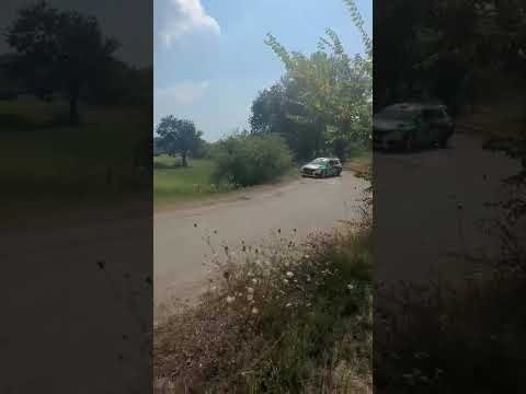Video PAURA AL RALLY DEL MATESE - Lequipaggio Rizzello-Quarta esce di strada in curva
