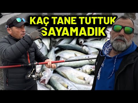 Boğazda Dostlarla Balık