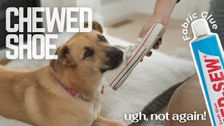 Fix Dog Chewed Shoes with Speed Sew Fabric Glue screenshot 5