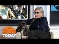 Carrie Fisher And Her Frenchie Are A Force To Be Reckoned With | TODAY