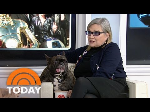 Video: Pet Scoop: Carrie Fisher je pes Costars v veselý rozhovor, mačka našiel po 8 rokoch