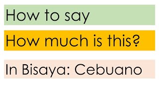 Bisaya Basic Phrases: How much is this? [English - Basic Bisaya]