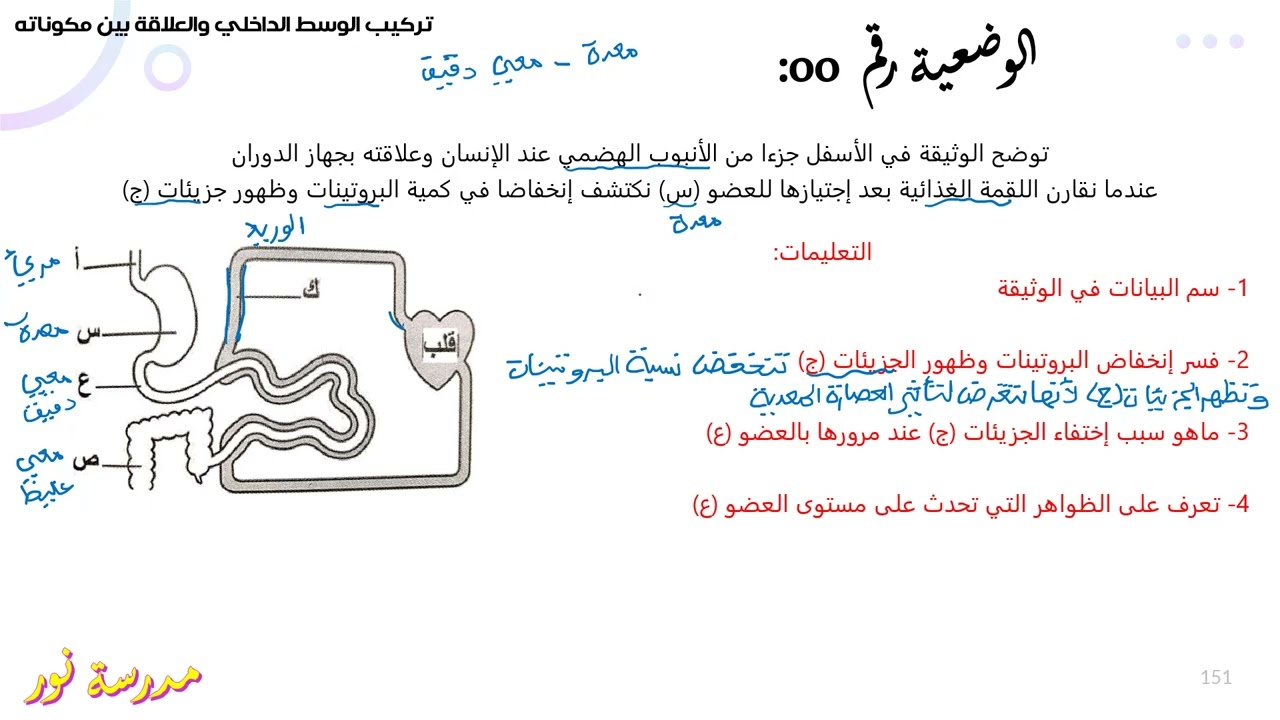 تمرين حول تحولات الأغذية خلال الأنبوب الهضمي علوم طبيعية سنة 04 متوسط