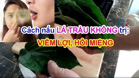 Trị hôi miệng, viêm lợi, đau răng hiệu quả với Lá Trầu Không