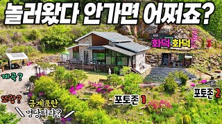 4.😍 닭이 알을품은 명당터 전원주택 대공개! 입구부터 전망정원 텃밭 아궁이까지 가족을위한 완벽한 자급자족 힐링 라이프  제천땅집부동산TV by 땅집부동산TV 전원주택 무료촬영 28,557 views 4 weeks ago 8 minutes, 41 seconds