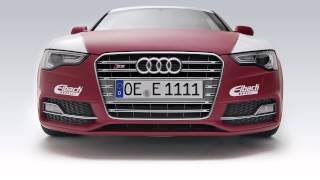 EIBACH | SPORTLINE | Sport Performance Springs (English)