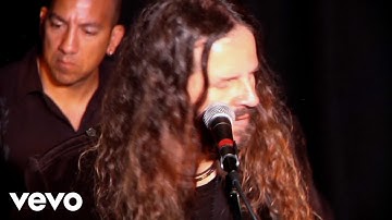 andrew reed & the liberation - Search for Significance (Official)