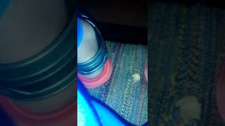 O Taynara Que Namora Comigo