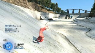 Meat Man Shredding The Double Bridge Gap In Skate 3
