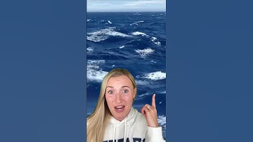 The KRAKEN Is ACTUALLY REAL!😳