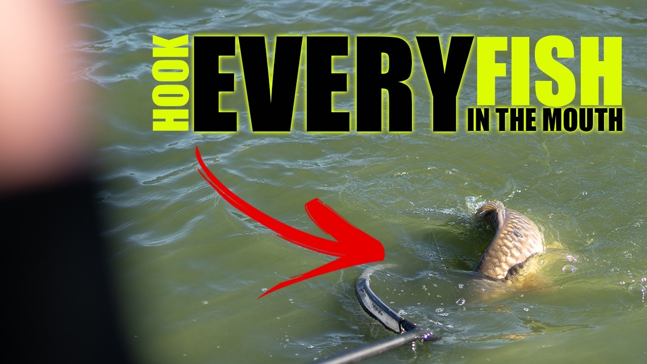 allen fly fishing omega reel Tight Lined Tales of a Fly Fisherman: Allen's Omega Wants to Change the Way  You Think About Fly Reels