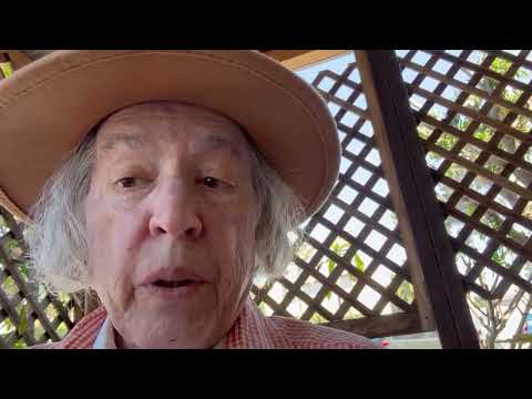 Video testimonial for Lucy’s Web Designs from [Client name]
