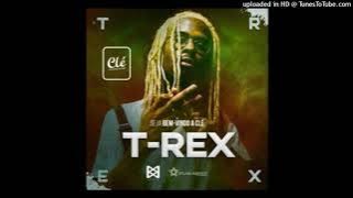 T-Rex - GUUD || AUDIO