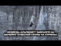 Медведь-альпинист забрался на вершину отвесной скалы на Курилах