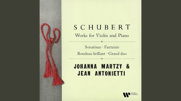 Violin Sonatina No. 1 in D Major, Op. Posth. 137 No. 1, D. 384: I. Allegro molto