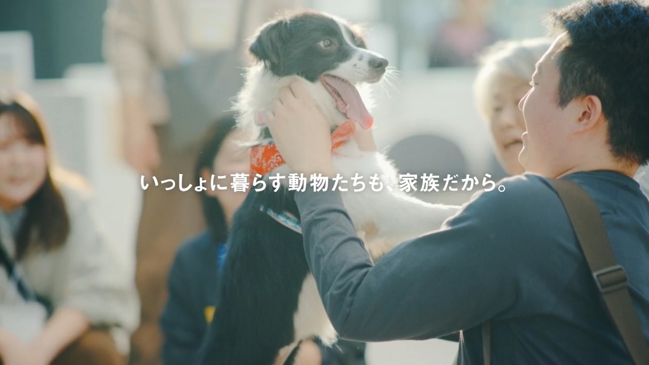 パナソニック保護犬猫譲渡会_「犬猫も家族篇」30秒【パナソニック公式】