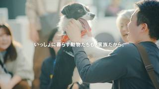 【パナソニックのCM】人気のCM・歴代コマーシャルまとめ