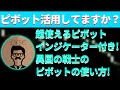 異国の戦士がピボットの使い方を解説！インジケーターも無料配布中！