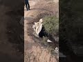 جثة الدكتوره المغدوره ساره في مكان قتلها