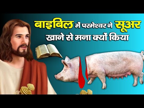 वीडियो: क्या सातवें दिन साहसी सूअर का मांस खाते हैं?