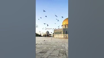 إن الله يدافع عن الذين آمنوا [ سورة الحج ❤️ ] القارئ ياسر الدوسري _ دعما لإخواننا في فلسطين 🇵🇸❤️