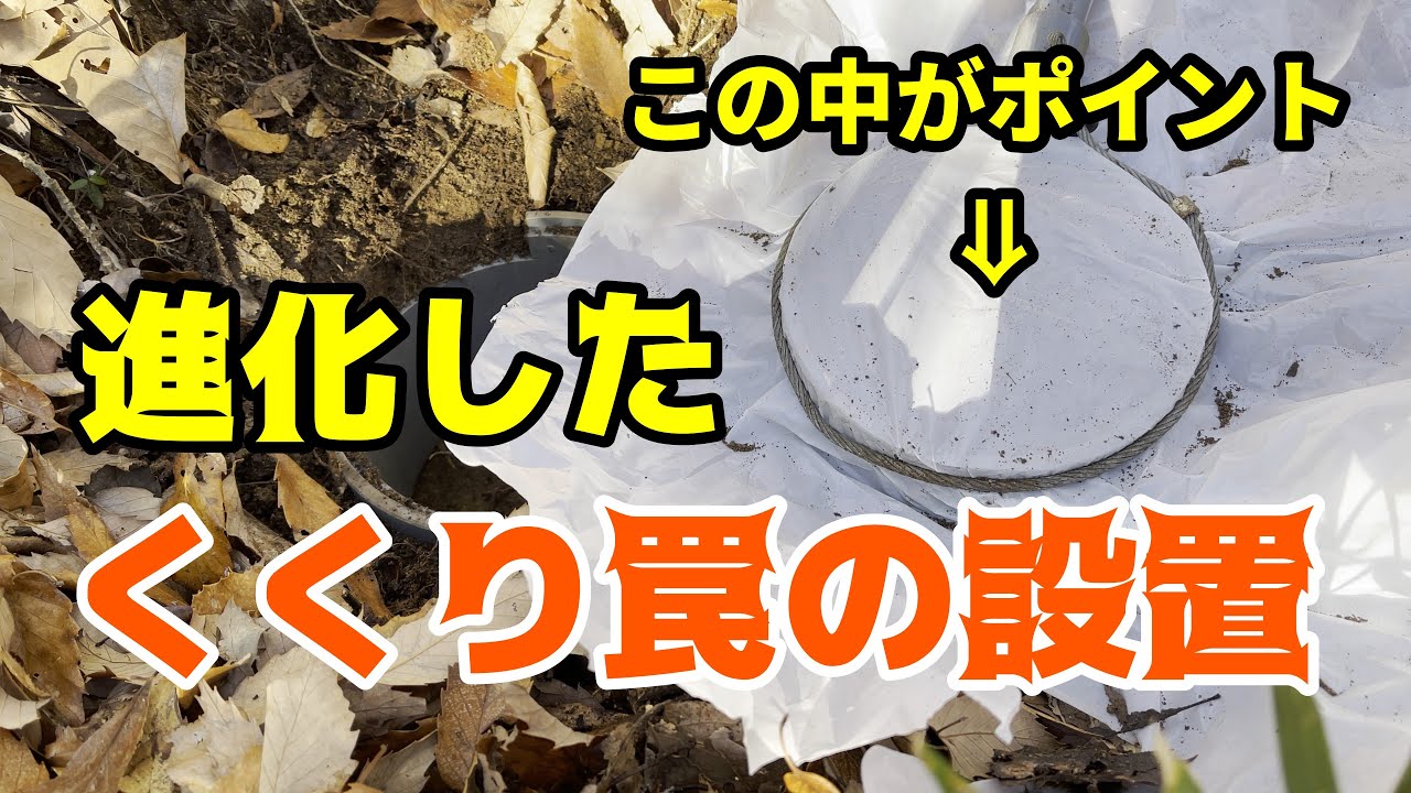 狩猟　イノシシ猟　くくり罠！コレが今期最強の設置方法になるかも？只今、検証中です。